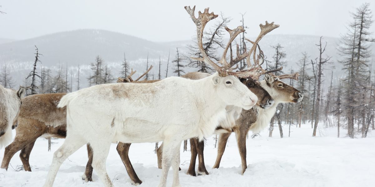 Yakutia