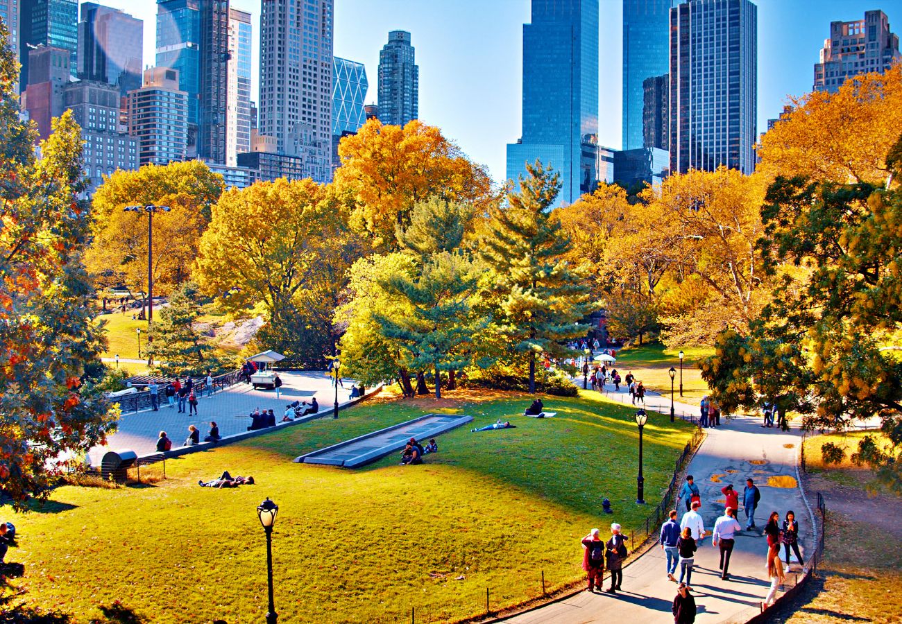 Roteiro Por Nova York Central Park 1