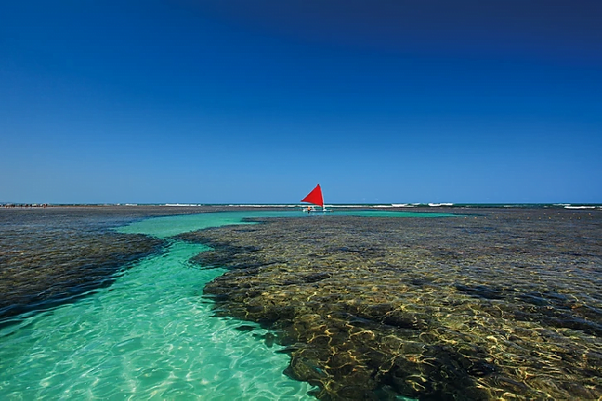 Lugares para Viajar no Brasil - Porto de Galinhas