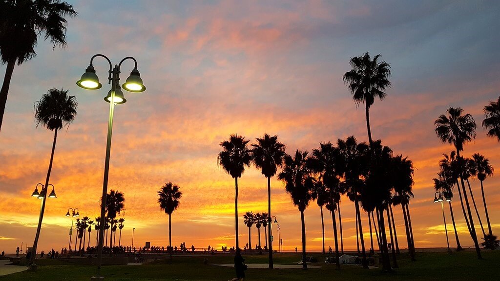 California Los Angeles Venice Beach