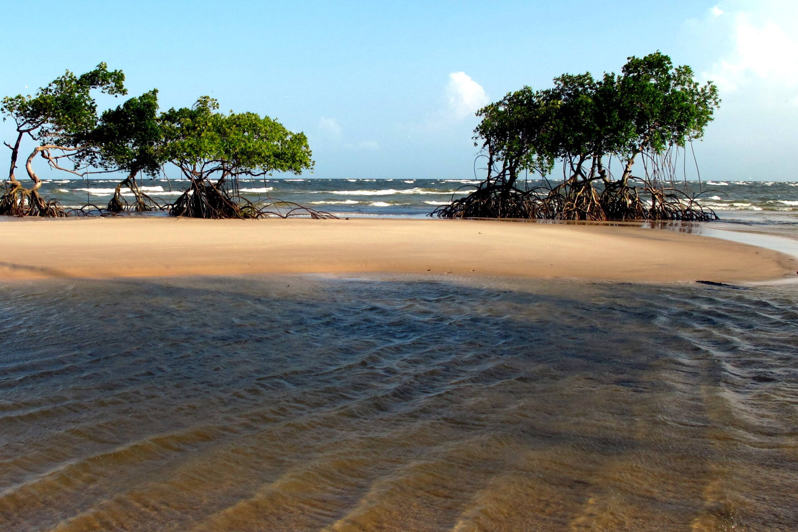 Lugares Para Viajar No Brasil Ilha De Marajo