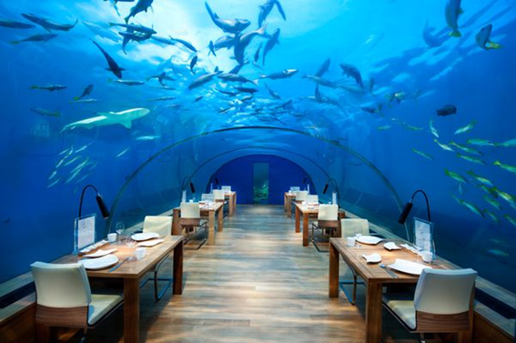 Restaurante Ilhas Maldivas – fonte: Pinterest