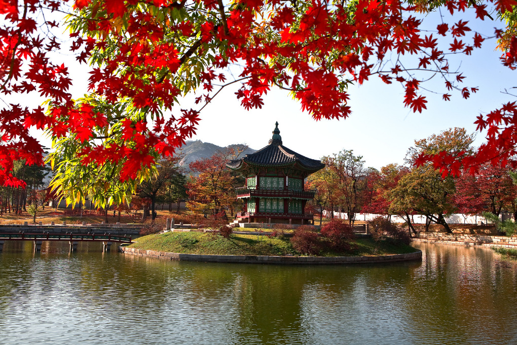 Park Da Coreia Do Sul