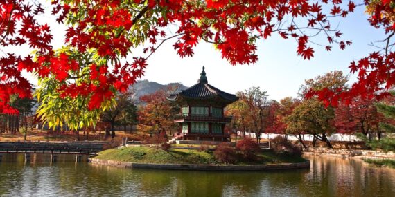 Parques da Coreia do Sul melhores destinos na Ásia em 2025