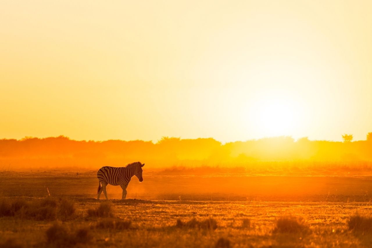 Viagem Para A Africa Do Sul  