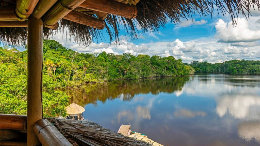 Floresta Amazonica Os Melhores Destinos De Ecoturismo No Brasil