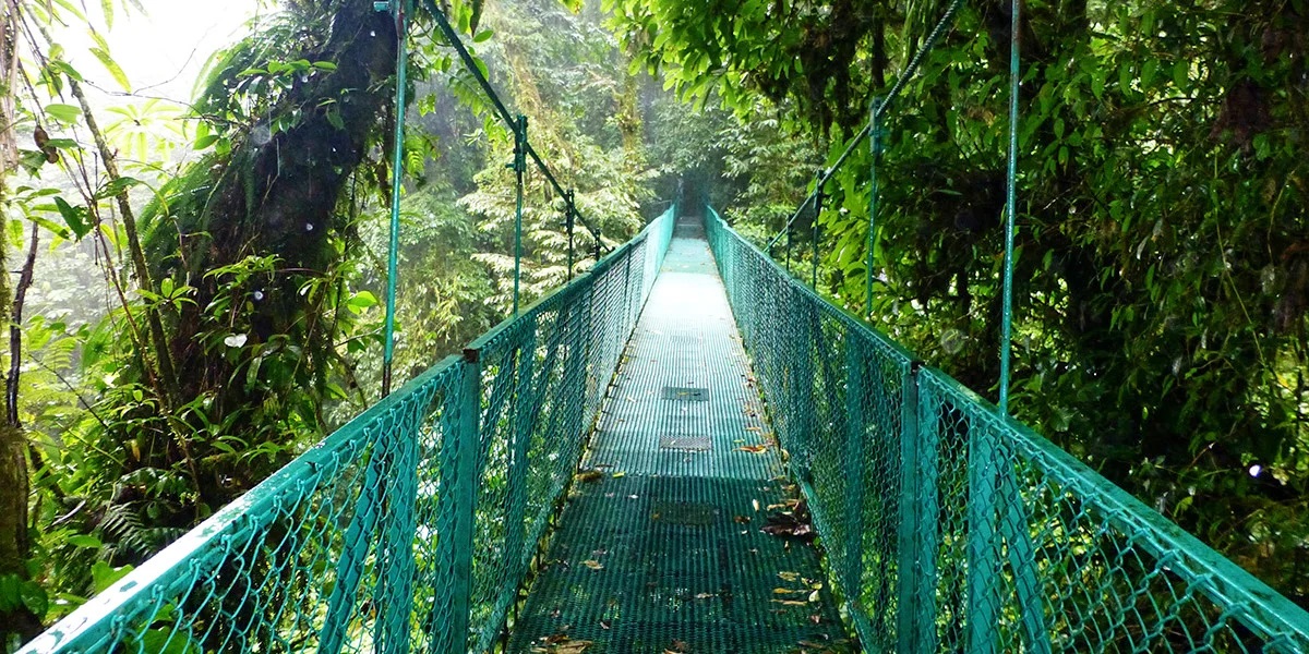 Monteverde Cloud Forest Bridge Costa Rica 03