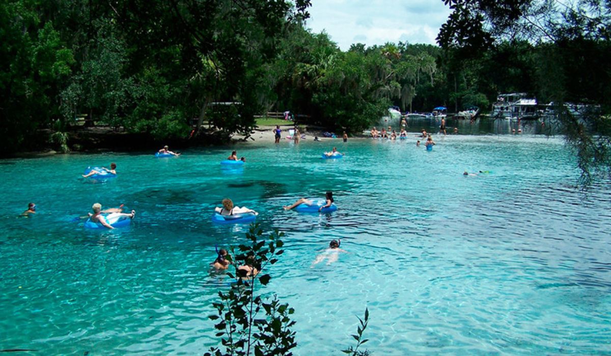 Parque Estadual De Wekiwa Springs Orlando Alem Dos Parques