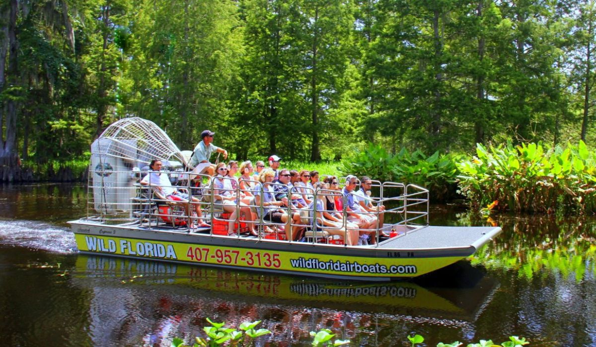 Wild Florida Airboats E Gator Park Orlando Alem Dos Parques