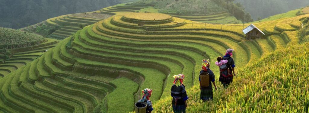 Vietname E Os Terracos De Arroz Experiencias Imperdiveis