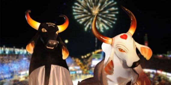 capa Festival de Parintins capa Festival de Parintins