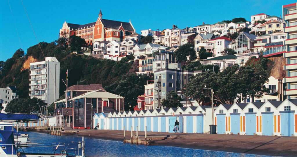 Wellington E1753415398871