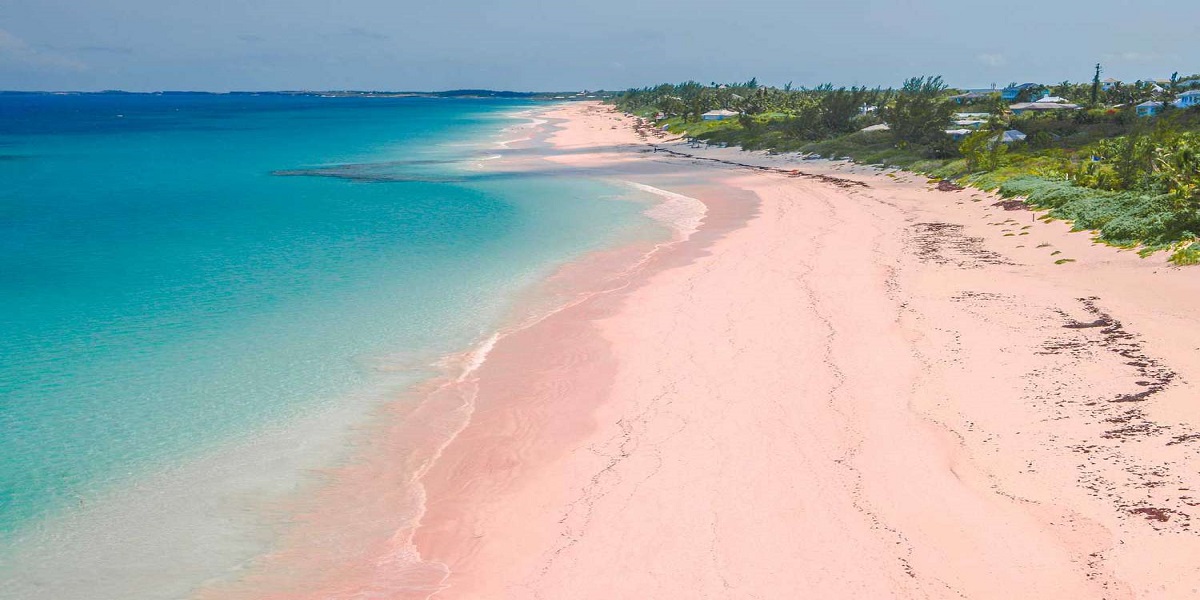 Pink Sand Melhores Praias Do Mundo Bahamas
