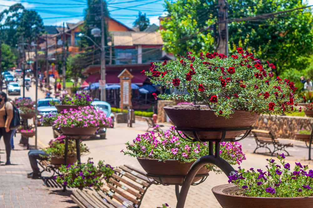 Fugir Carnaval Monte Verde