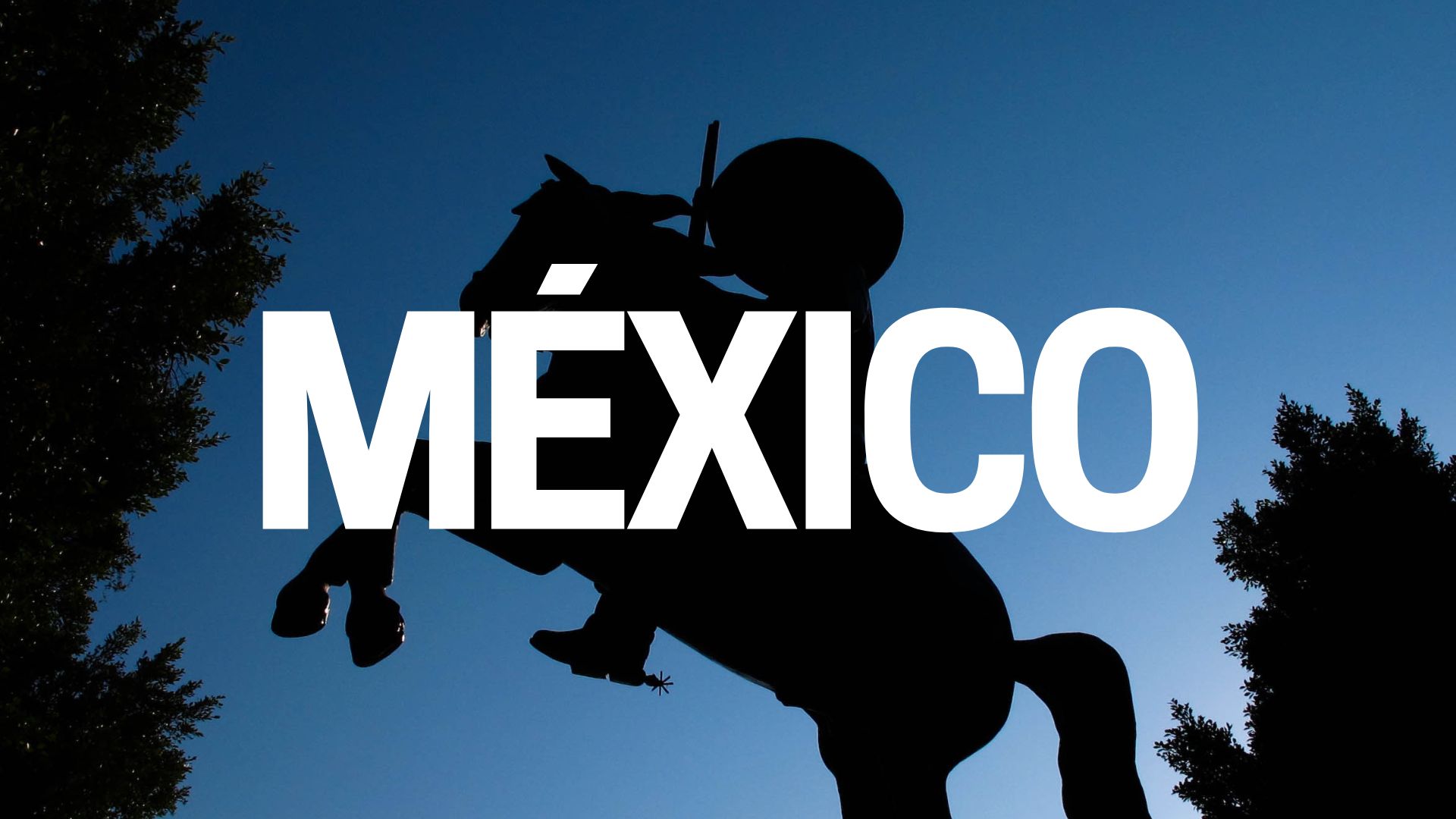 Guadalajara Copa 2026 1