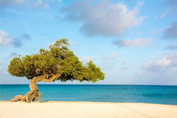 Aruba, praia paradisíaca no Caribe