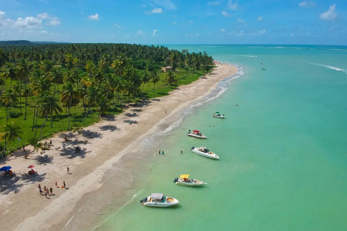 Praia de Maragogi melhores praias do nordeste do brasil Svg+xml,%3Csvg%20xmlns%3D'http%3A%2F%2Fwww.w3