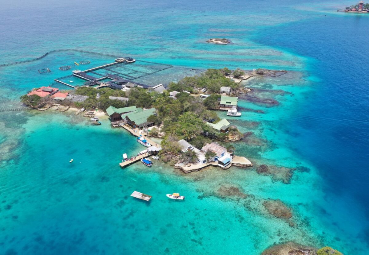 Svg+xml,%3Csvg%20xmlns%3D'http%3A%2F%2Fwww.w3