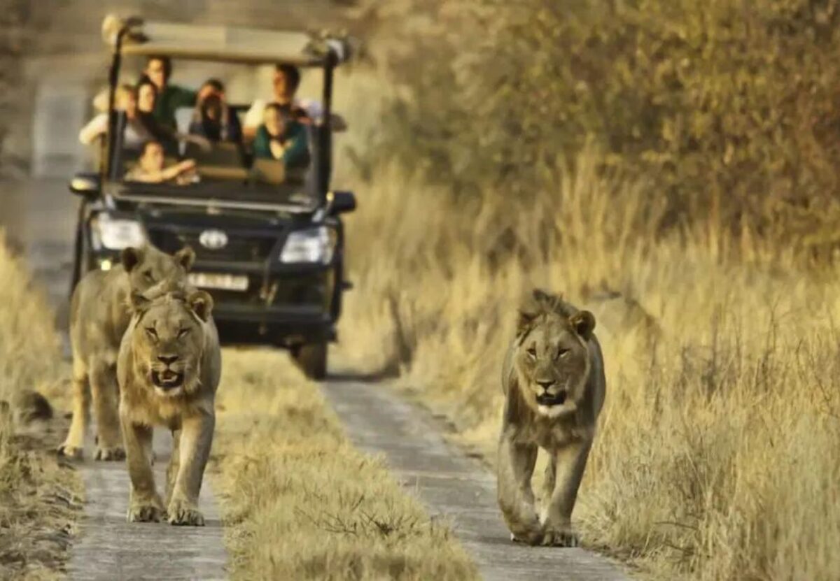 Svg+xml,%3Csvg%20xmlns%3D'http%3A%2F%2Fwww.w3