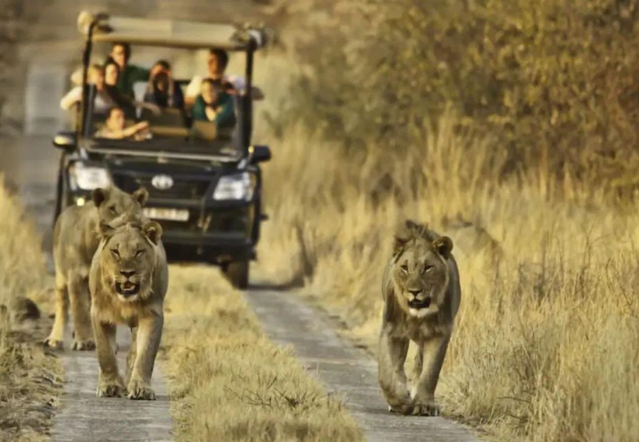pontos turísticos da África