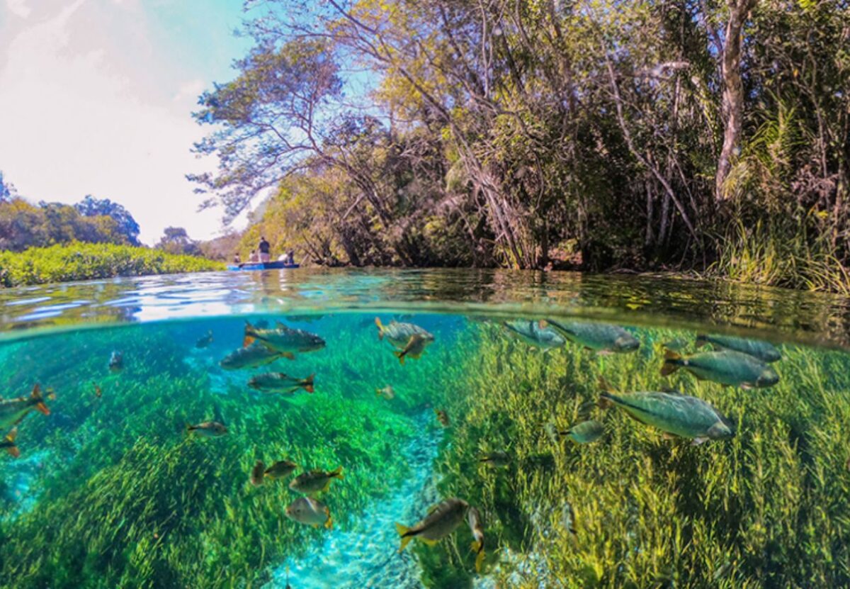 Svg+xml,%3Csvg%20xmlns%3D'http%3A%2F%2Fwww.w3