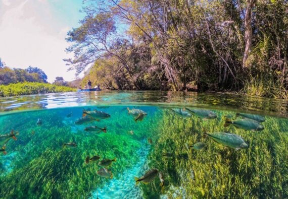 O que fazer em Bonito